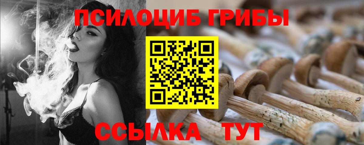 Галлюциногенные грибы Cubensis  Вход с VPN  Будённовск 
